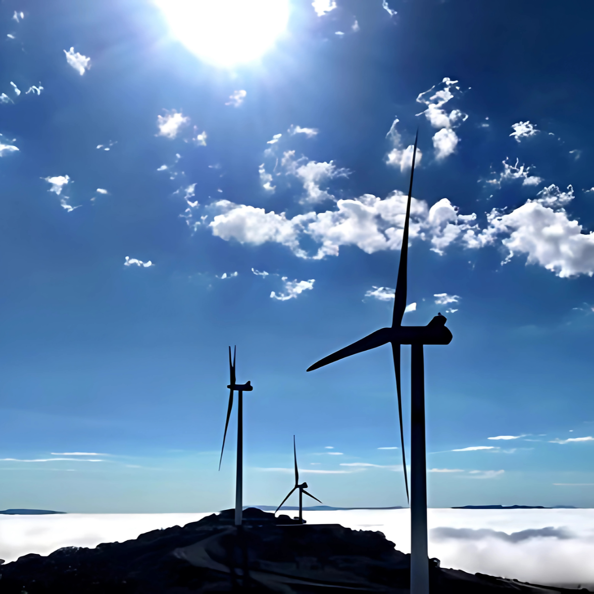 Eólicos Construimos parques de gran escala, subestaciones y líneas de
                transmisión/distribución.