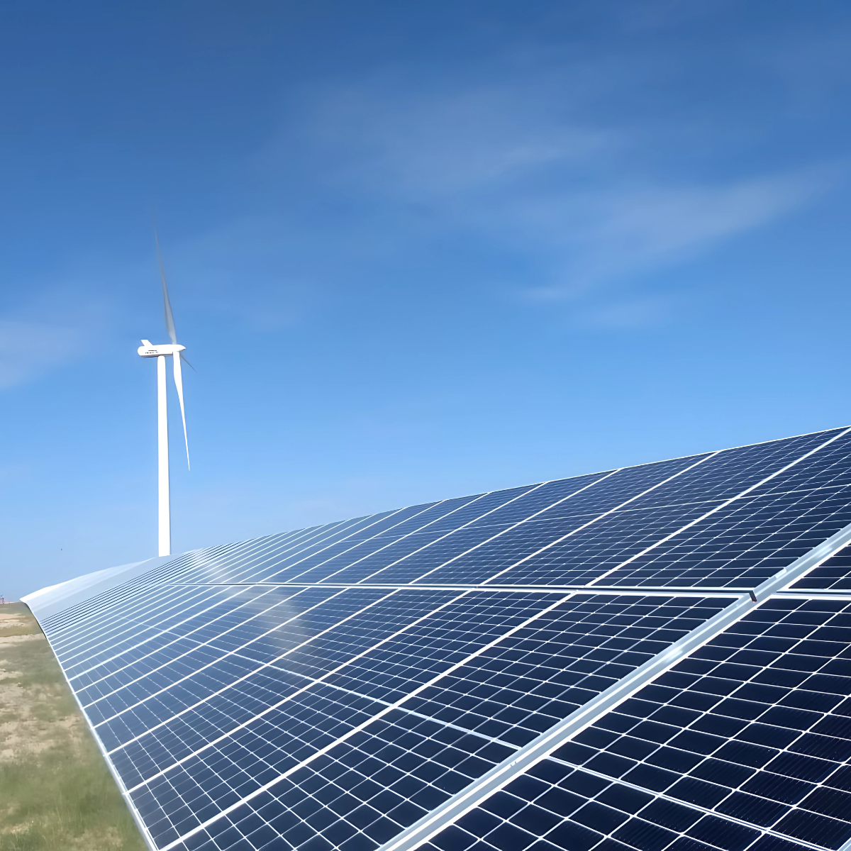 Mercado Eléctrico Mayorista