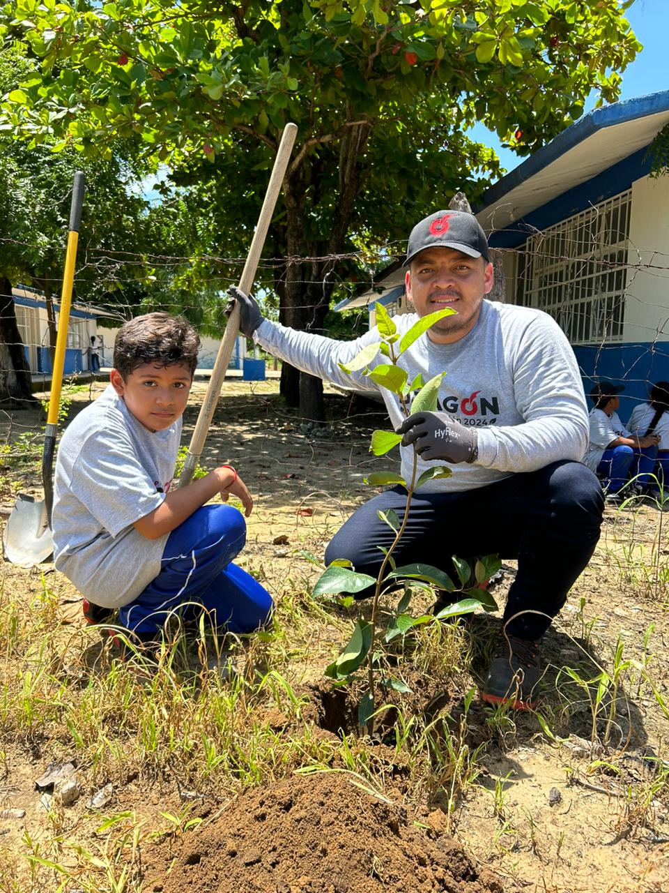 Reforestamos