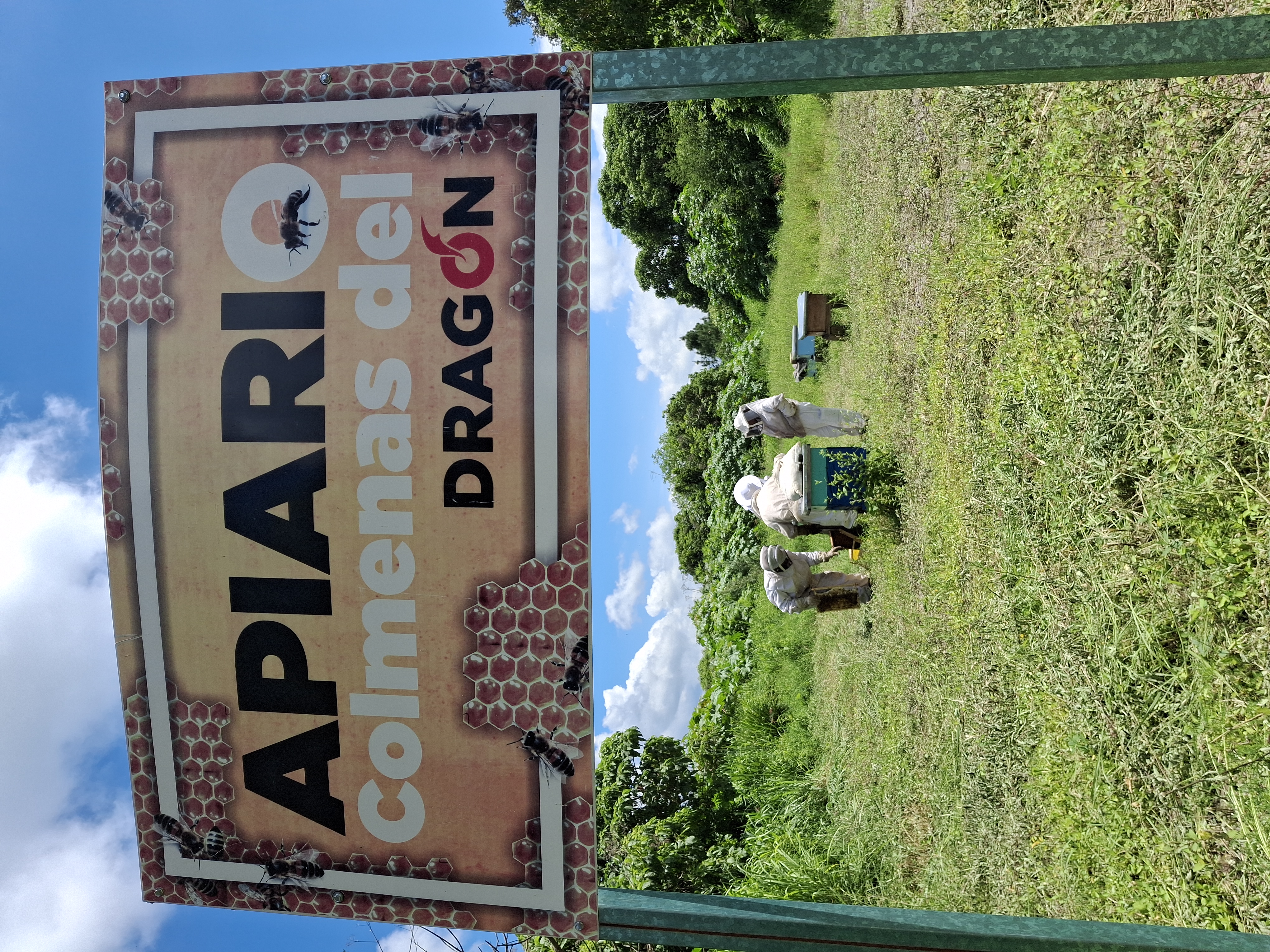 Programa de apiarios sostenibles de Grupo Dragón para la protección de la biodiversidad