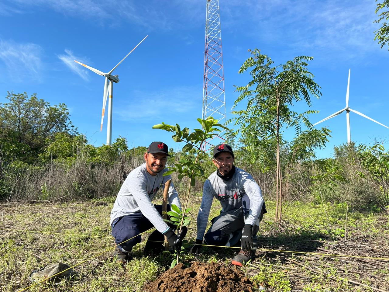 Programa de reforestación comunitaria impulsado por Grupo Dragón